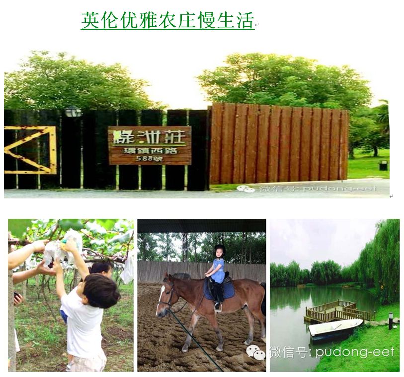 qinzi1.JPG