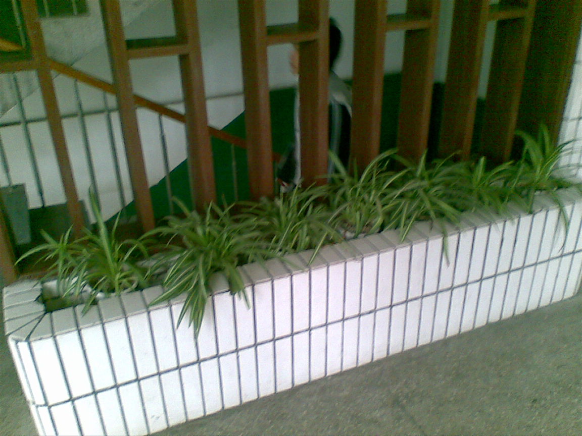 image021.jpg