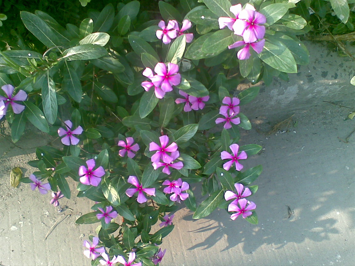 image027.jpg