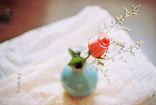 110751d60a3ba3abc0dec9.jpg