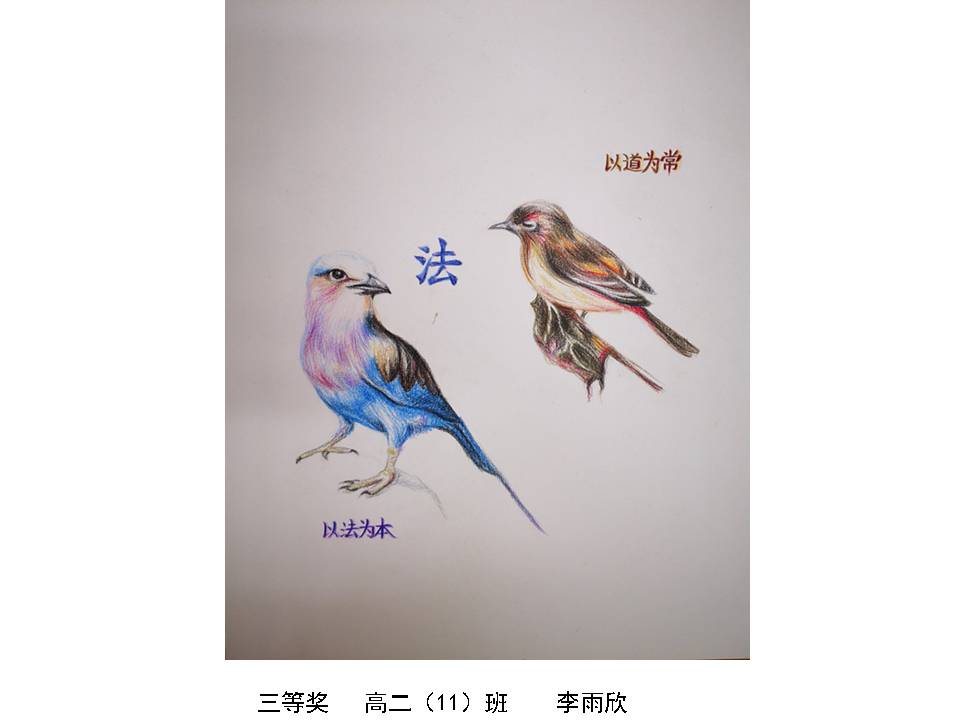 幻灯片8.JPG